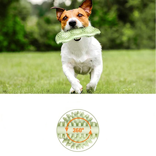 Bite Resistant Chew Toy