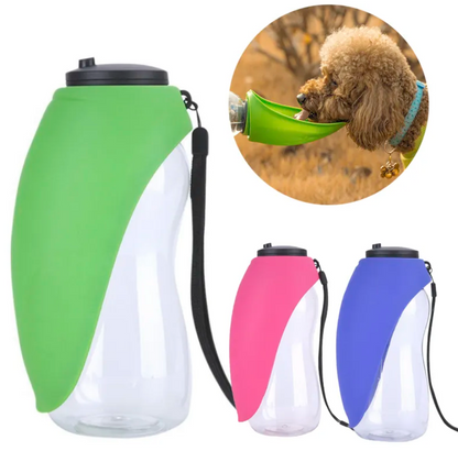 Portable Water Bottle