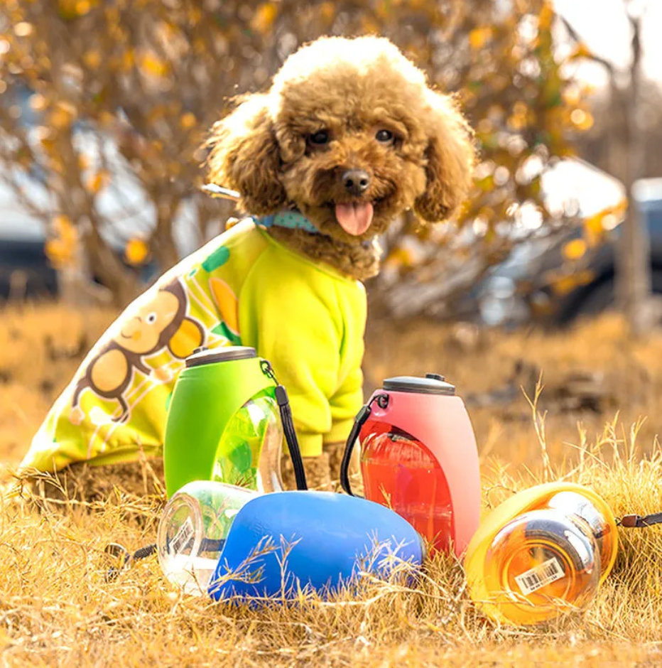 Portable Water Bottle