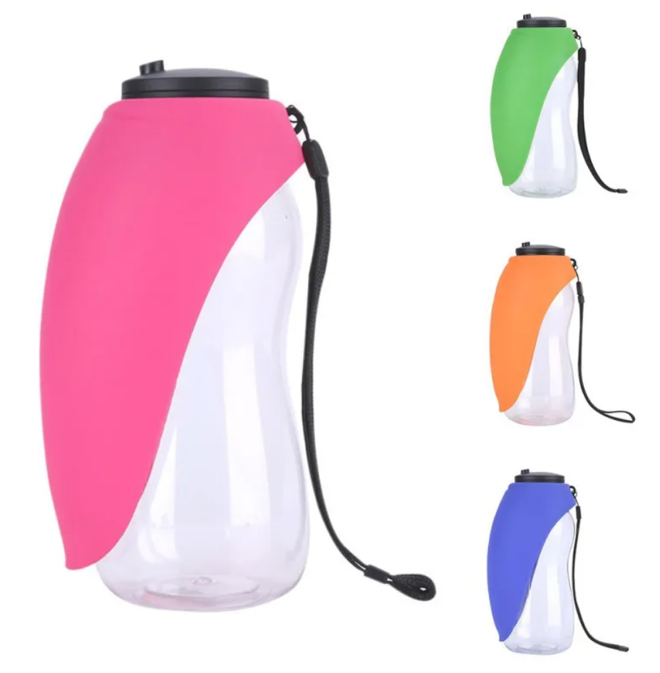 Portable Water Bottle