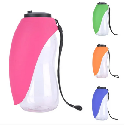 Portable Water Bottle