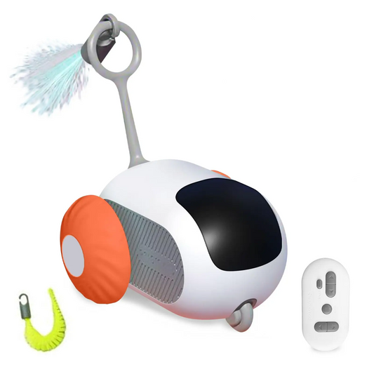 Smart Interactive Toy