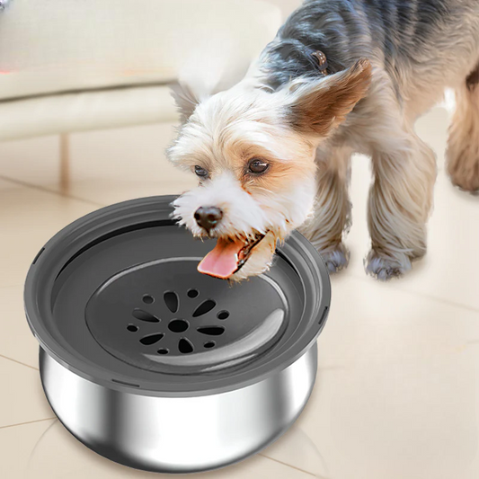 Stainless Steel Large Water Bowl